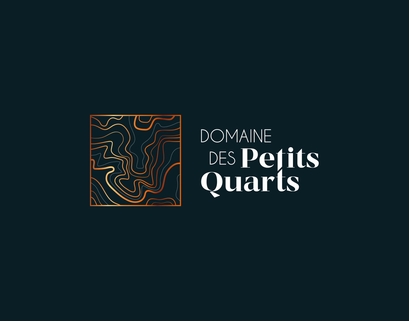 Logo Domaine des Petits Quarts